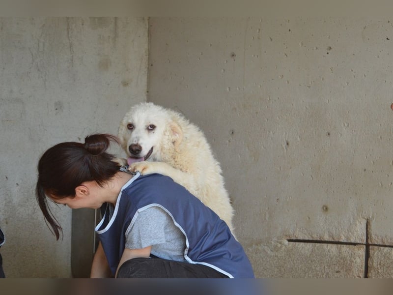 Abreena - Selbstbewusst, verspielt und voller Zuneigung