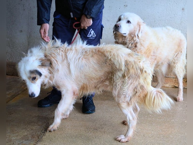 Bailoch - Zeig mir doch bitte...