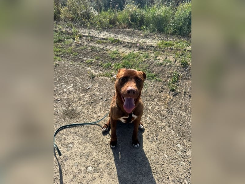 Birdy - Nähe, Liebe, Geborgenheit? das ist sein größter Wunsch