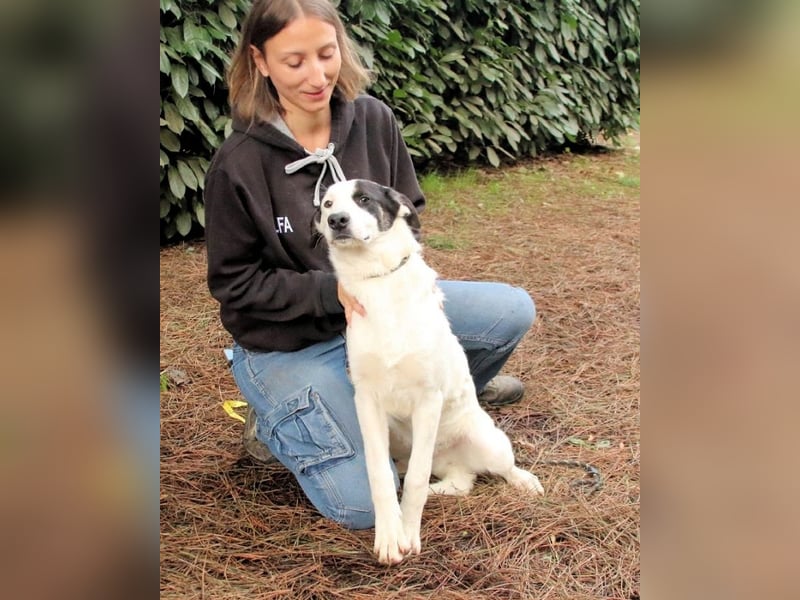 Marius - We proudly present...