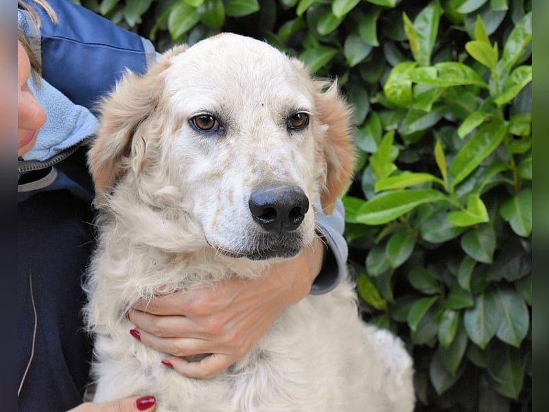 Kastore - Die Welt erkunden!