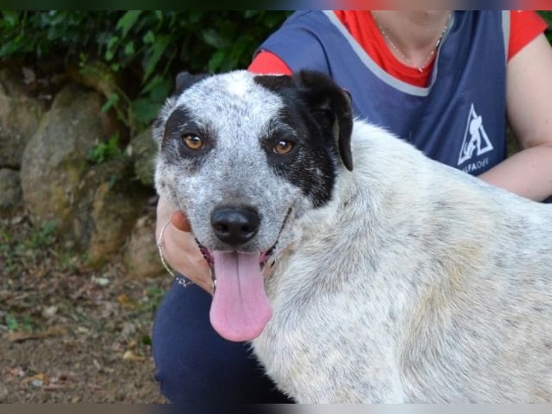 Medwin - Wo ist denn nun das wahre Leben?