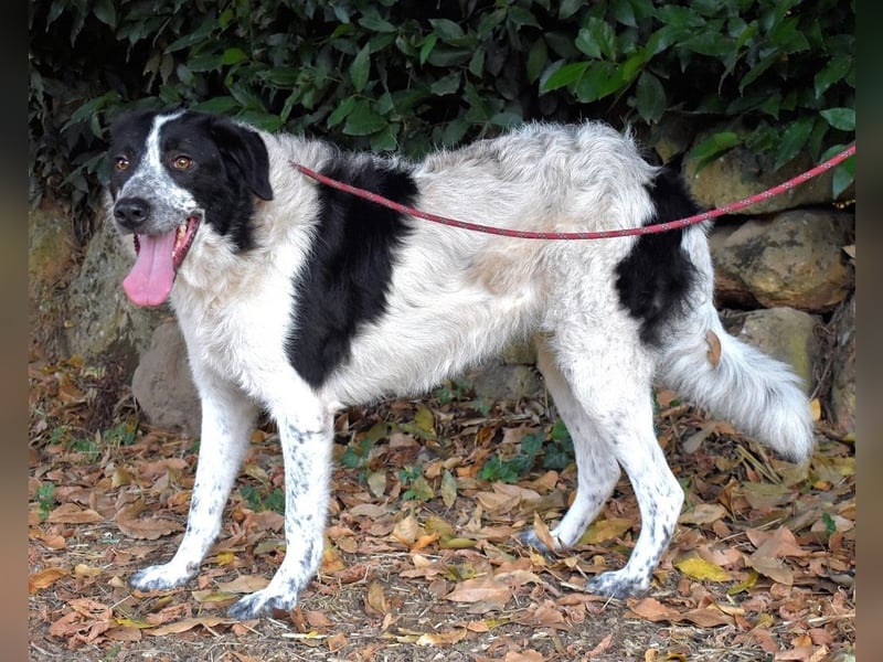 Jessie - Wer nicht neugierig ist, erfährt nichts