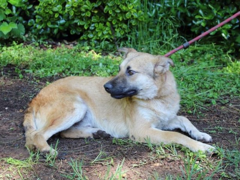 Zeebo - Z wie Zuckersüß und Zauberhaft