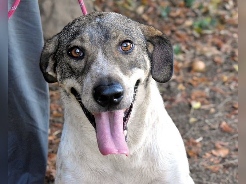 Helder - spricht für sich