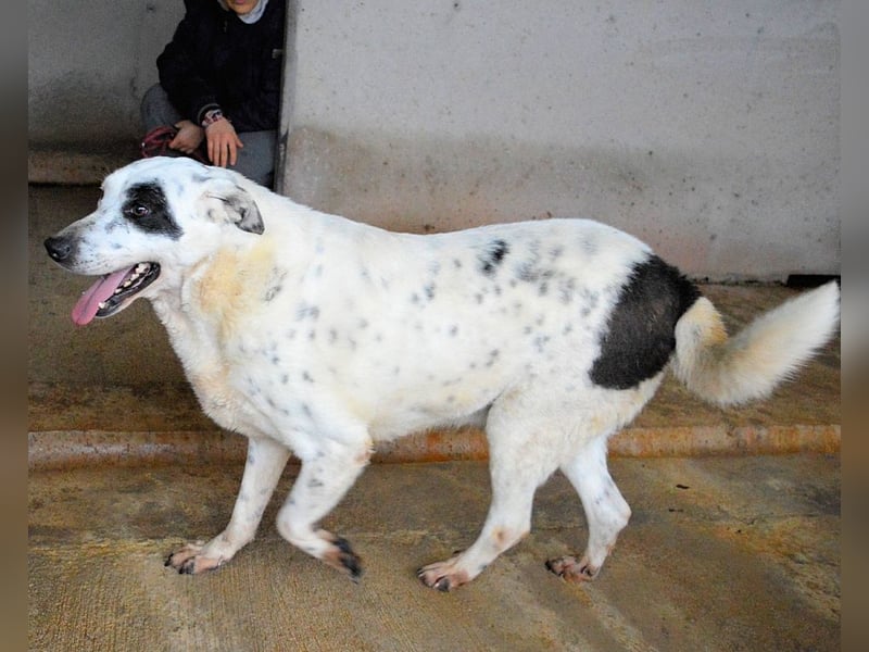 Arunny - Während Sie das hier lesen