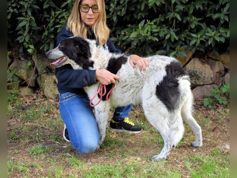 Jessie - Viel zu lange auf der Zuschauerbank