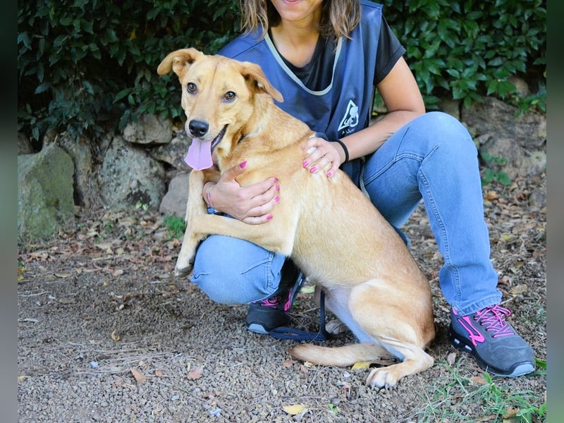 Lilyrose - als kleine Muschel ins Glück!