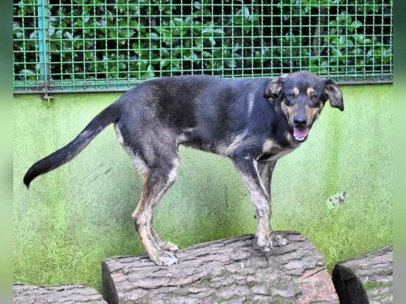 Montego - Sonne im Bauch und Brausekribbeln im Hirn