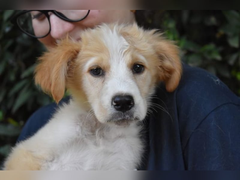 Marula - ...und Mama konnte es dir nicht zeigen