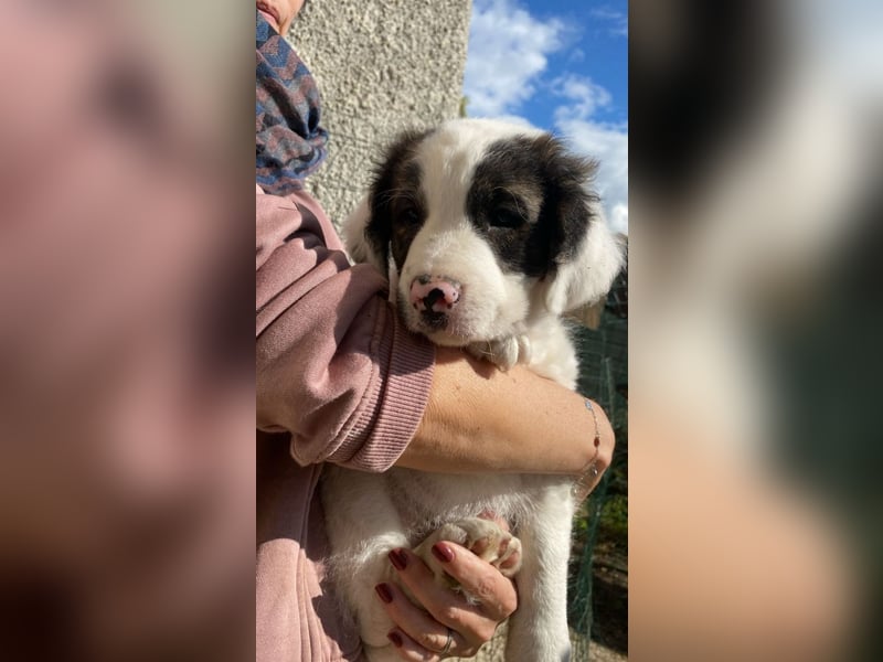 Ingo -  Neunmal werden wir noch wach...