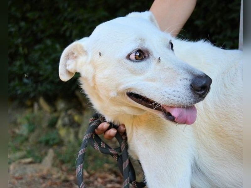 Dafnielle - Zukunft gesucht