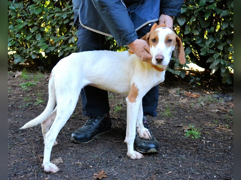 Samarie - Abenteuerlust und Kuschelzeit
