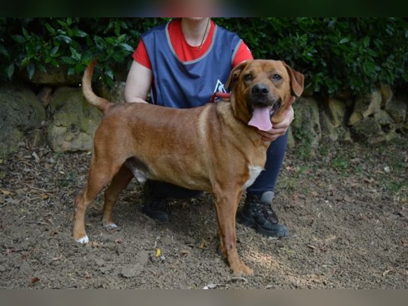 Freebie - Über Stock und Stein