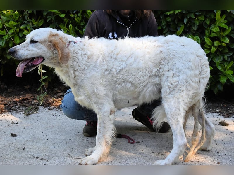 Kastore - Die Welt erkunden!