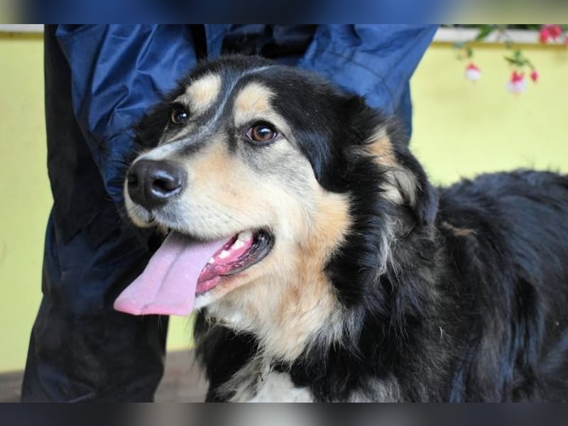 Oliverio - ohne Anklage hinter Gittern