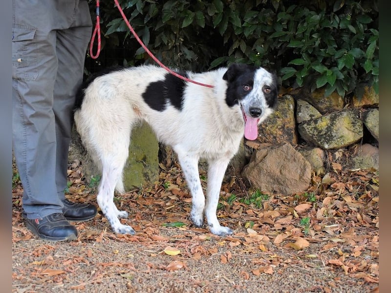 Jasmine - Wer nicht neugierig ist, erfährt nichts!