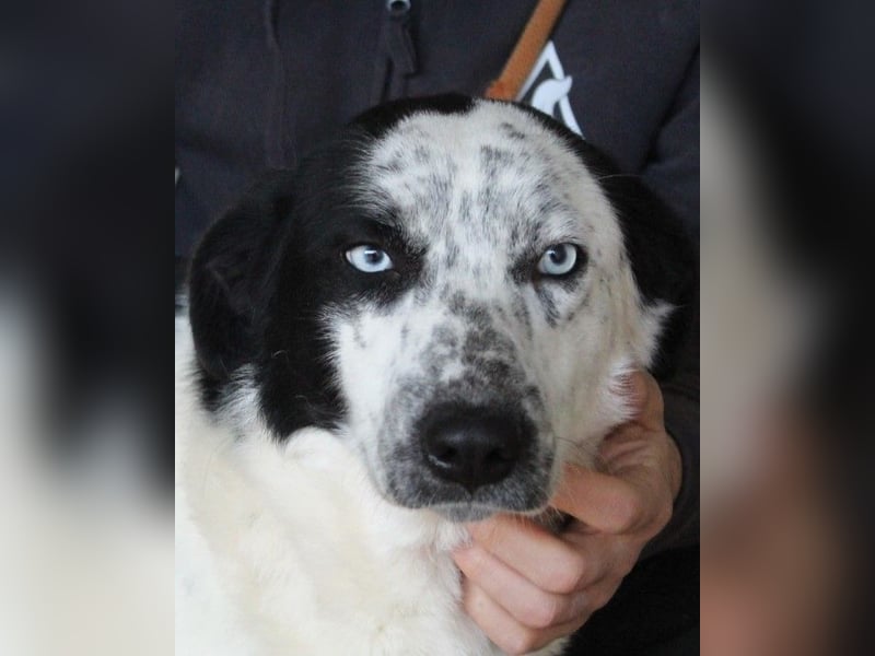 Nyxiel - Die schönsten Augen