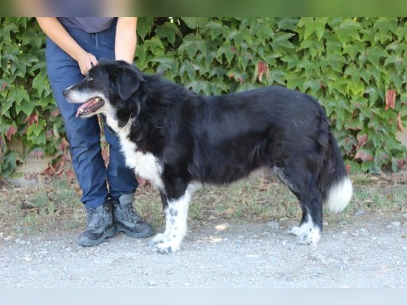 Carmine - Bereit für den Neustart