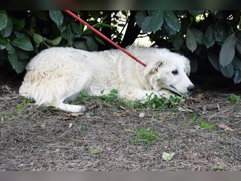 Franky - bereit für das Abenteuer Leben