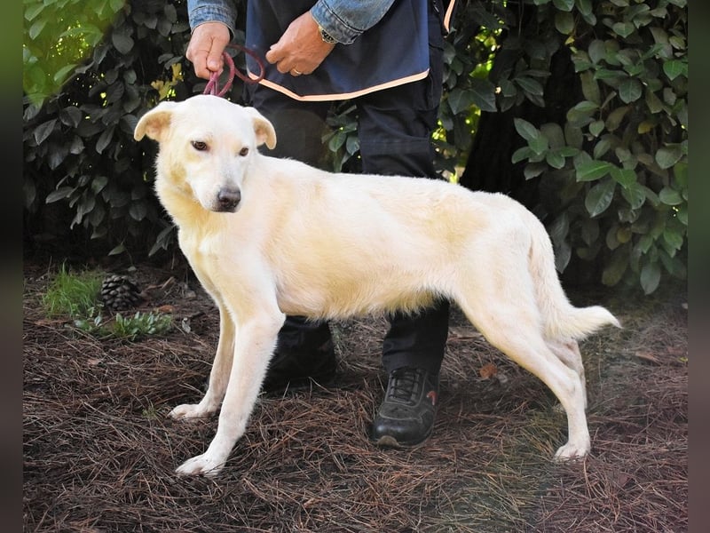 Dafnielle - Zukunft gesucht