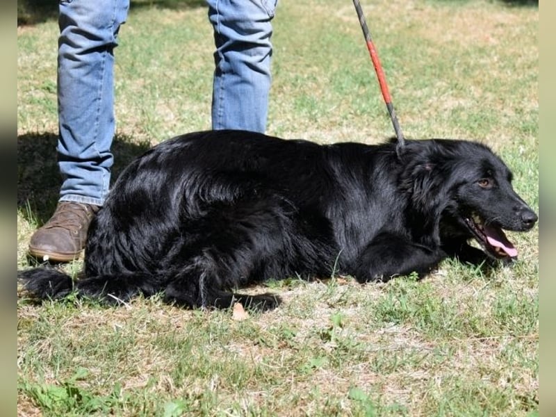 Settimio - Ich bin da, jetzt läuft's!?