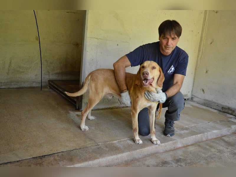 Dioneo - NOTFALL - Zeit heilt hier nichts