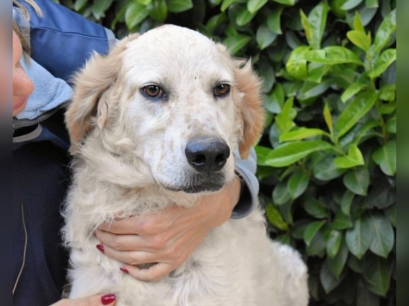 Kastore - Die Welt erkunden!