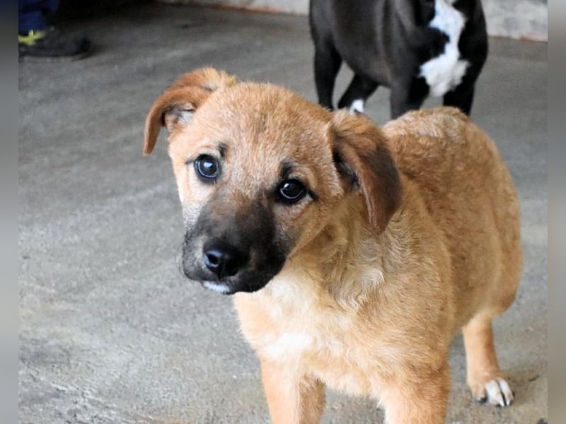 Mivelle - Es soll DEIN Leben werden