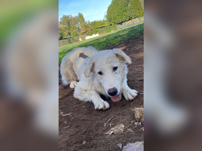 Tonia - Still, stark und voller Herz