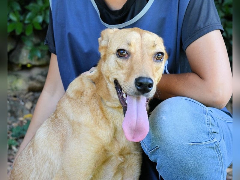 Lilyrose - als kleine Muschel ins Glück!