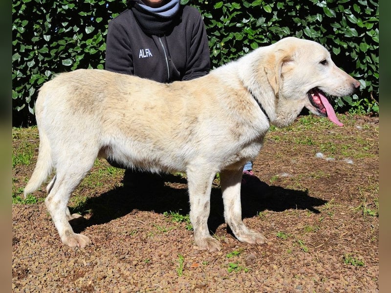 Shaydon - Ein riesiges Missverständnis!