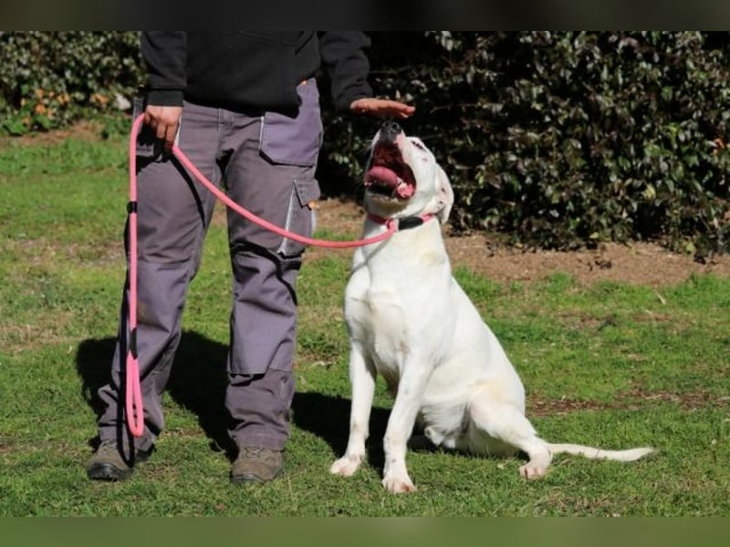 Ottaviano - Fels in der Brandung gesucht!