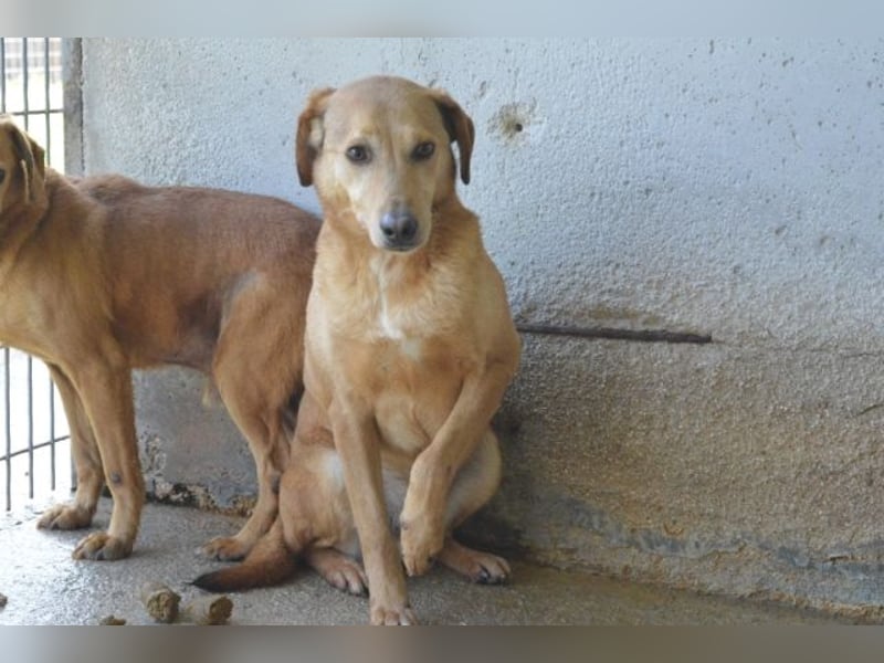 Benno - wenn du mutig bist, dann bin ich es auch!