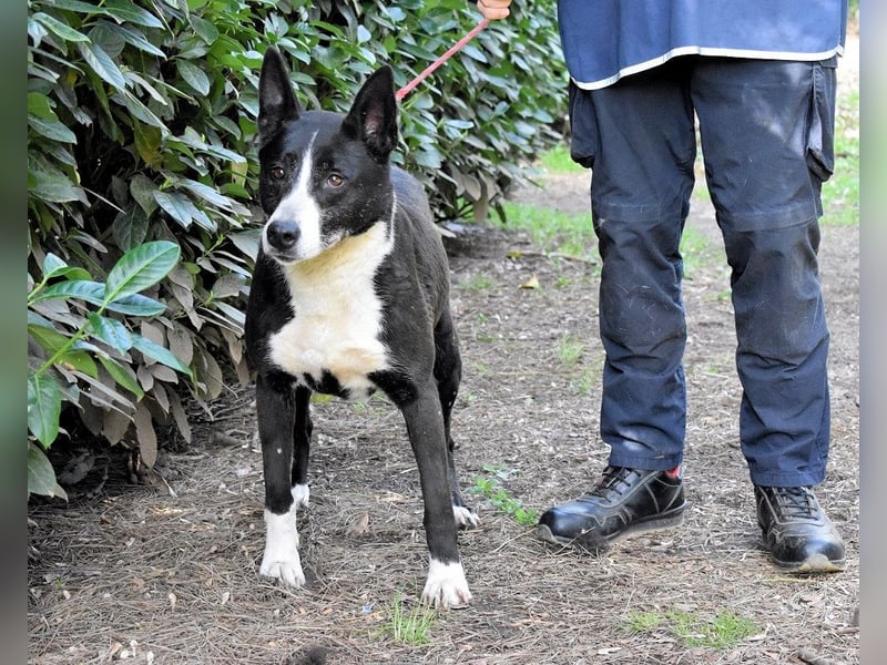 Edelmira - Das Leben in homöopathischen Dosen kennenlernen