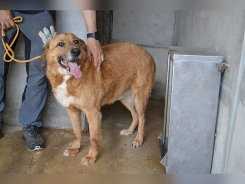 Kemp - Runder Rundum-Schatz