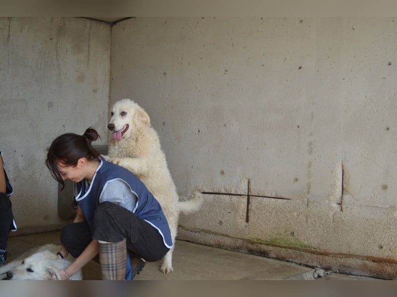 Abreena - Selbstbewusst, verspielt und voller Zuneigung