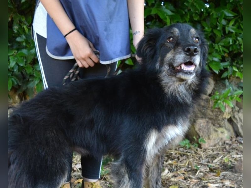 Pinot - "Unmöglich!" sagte die Tatsache... Pinot - "Unmöglich!" sagte die Tatsache...
