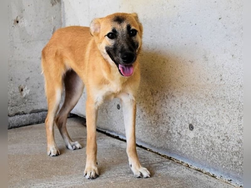 Olympia - "Und wenn sie nicht weg sind....