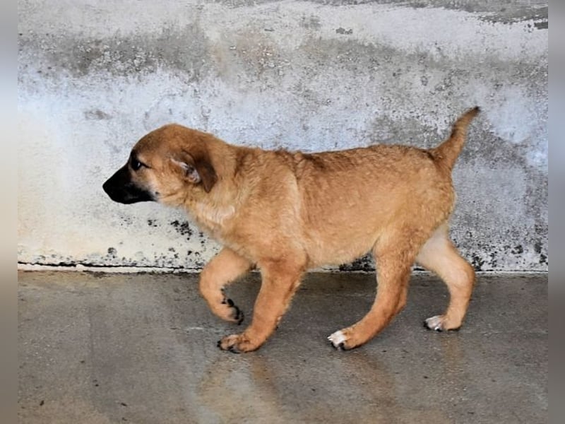 Mivelle - Es soll DEIN Leben werden