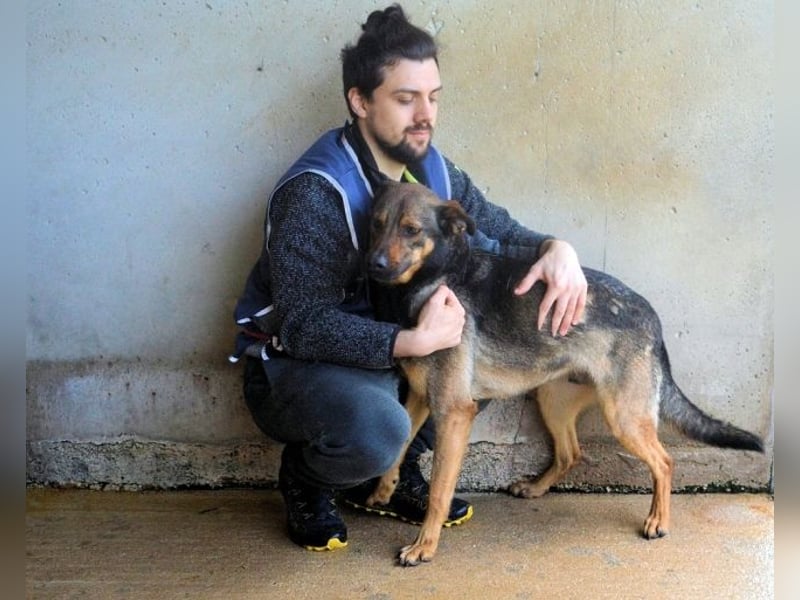 Alvis - Zurückgelassen mit nichts als Hoffnung