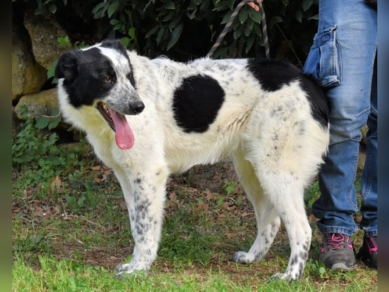 Jasmine - Wer nicht neugierig ist, erfährt nichts!