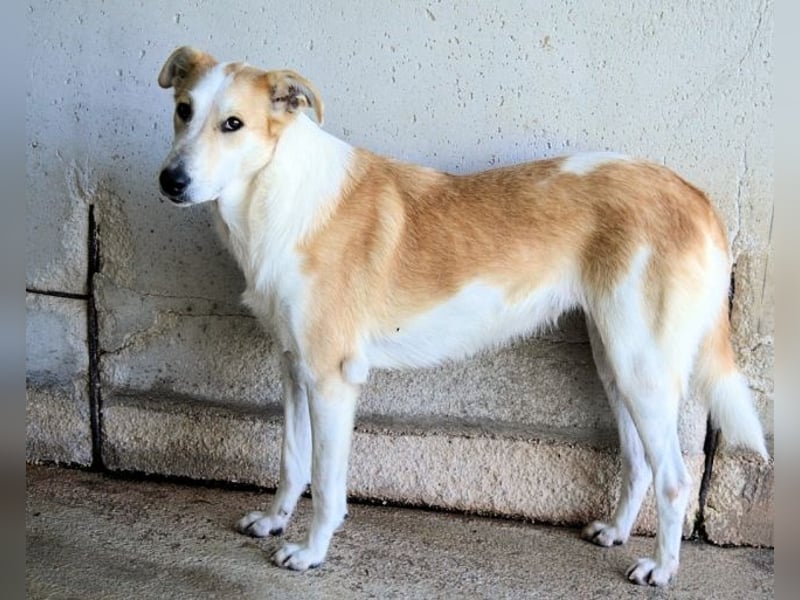 Liuba - sucht ihren Platz im Leben