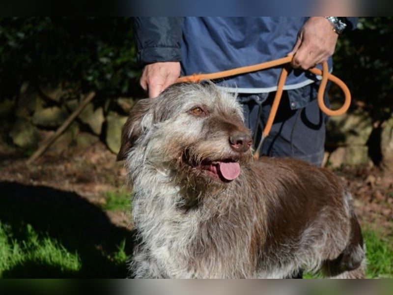 Minnie - Nach 7 Jahren Unglück endlich 7 Jahre Glück?