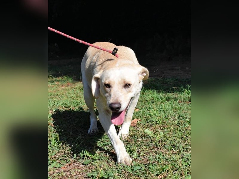 Hughie - macht ein Freundschaftsangebot