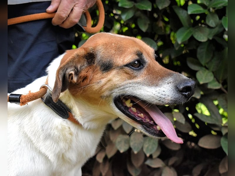 Kamyll - Der Platz neben dir