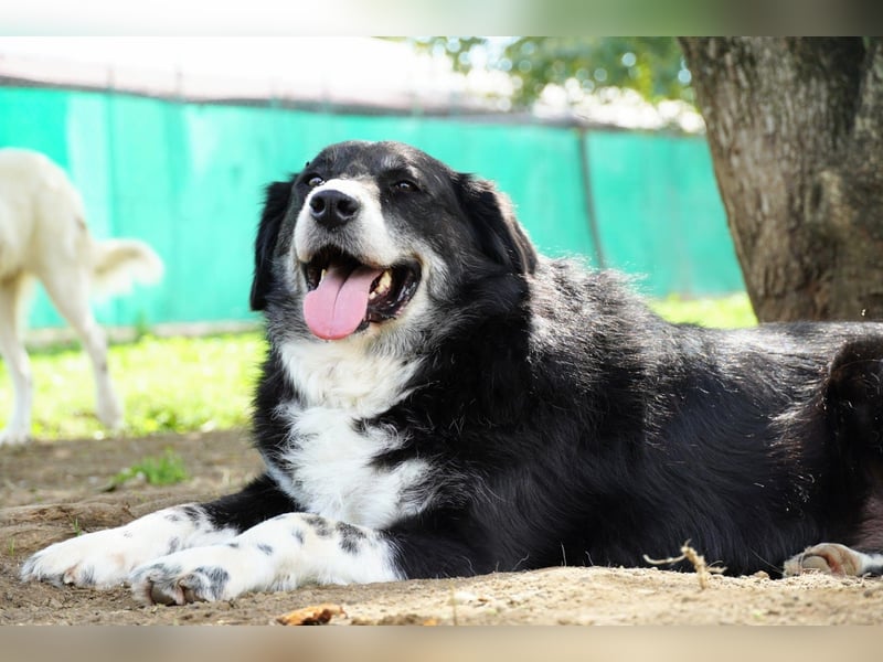 Carmine - Bereit für den Neustart