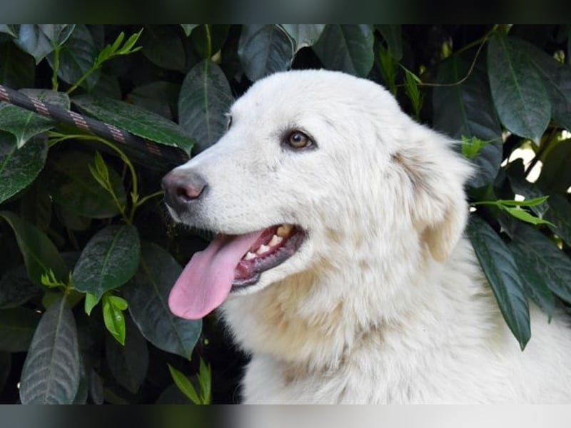 Florenz - bereit für das Abenteuer Leben