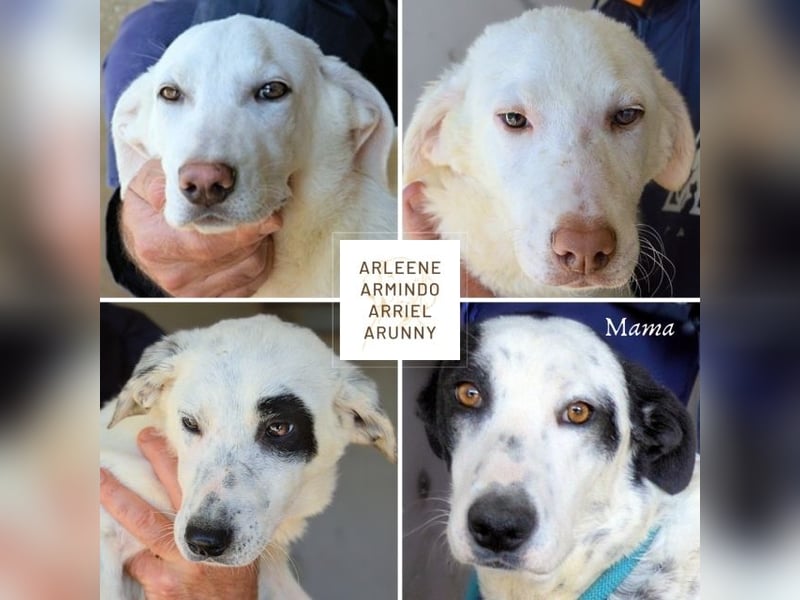 Arunny - Während Sie das hier lesen