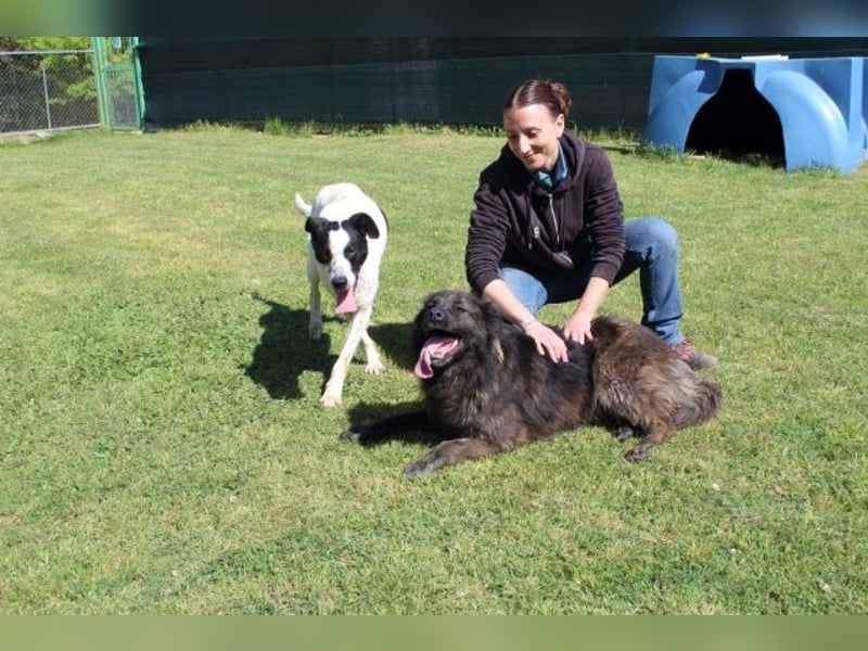 Florentino - Der hübscheste aller Batmans